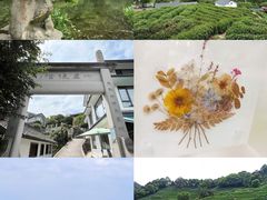 -西湖风景区十里琅珰-五云山