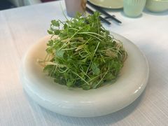 -悦融·京鲁菜·露台花园(安定门店)
