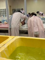 -星摇篮月子中心(市妇幼店)