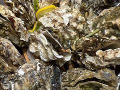 -吉香碳烤生蚝(仙霞路店)