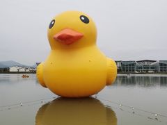 -琅岐红光湖公园