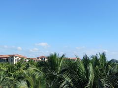 -三亚海棠湾喜来登度假酒店