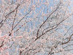 -滨河世纪广场公园