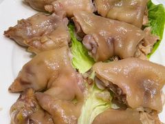 -丁老爷子苏香圆