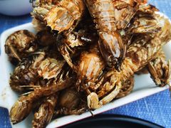 -后海16号·北京私房菜