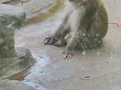 -荆州中山公园动物园