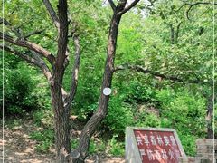 -北京十三陵国家森林公园蟒山景区