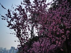 -杨记隆府(南坪店)