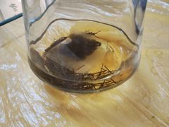 -膳缘居天然素食馆