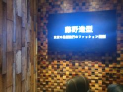 点击看大图 -藤野造型