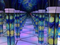 -天津梵高星空艺术馆(天河城旗舰店)