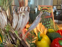 -嘉定凯悦·咖啡厅