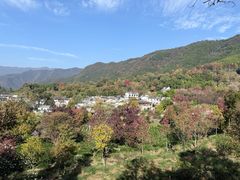 -塔川景区