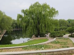 -石家庄市植物园