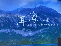 -老牌坊云南鱼豆花火锅(哈西万达店)