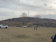 -御道口草原森林风景区