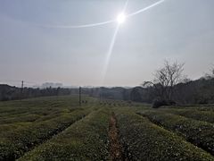 -敬亭山风景名胜区