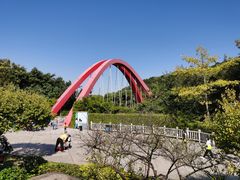 -玉树公园