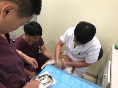 -美迦爱-牙专科·兔科·骨科诊疗中心(北苑店)
