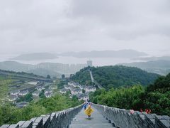 -黄贤森林公园
