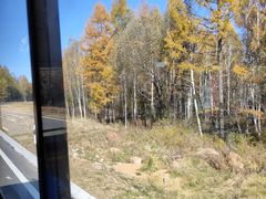 -五营红松林海景区