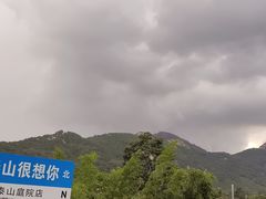 -蘇河湾·新鲁菜·泰山宴(泰山店)
