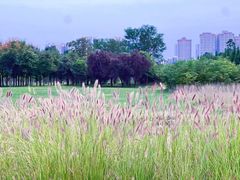 -汉长安城未央宫国家考古遗址公园