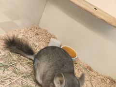 -龙猫仔乐园(惠福东路店)