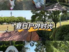 -羊山湖公园