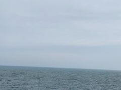 -广东惠东海龟国家级自然保护区