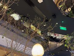 -桂满陇·海市蜃楼·黑金(国金店)