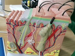 -雍禾植发全国连锁