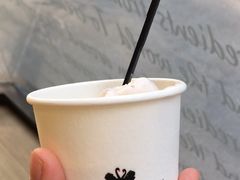 -BLACKSWAN黑天鹅(环球店)