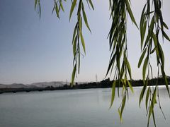 -党河风情线国家水利风景区