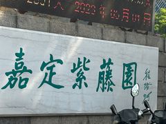 -嘉定紫藤园