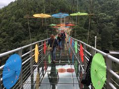 -九龙江国家森林公园