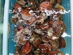 -日照大牌檔•小船海鲜(万平口店)