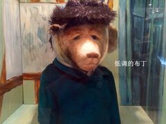 -济州岛泰迪熊博物馆