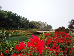 -万绿园