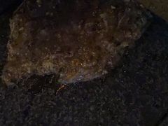 -东门口涮肉·砂锅·烤串(老门东店)