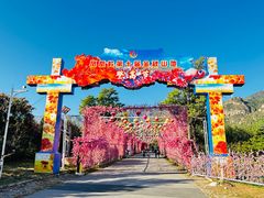 -北京凤凰岭
