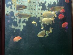 -弘安丽水温泉酒店