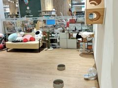 -1013 PET SHOP精品宠物商店(丁香店)