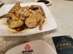 -百利鸽王(紫薇路店)