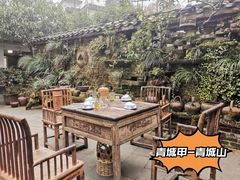 -青城甲(青城山店)