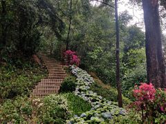-广州雕塑公园
