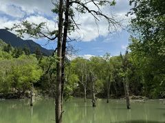 -叠溪松坪沟景区