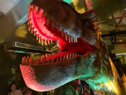 -恐龙探索乐园(磁器口店)