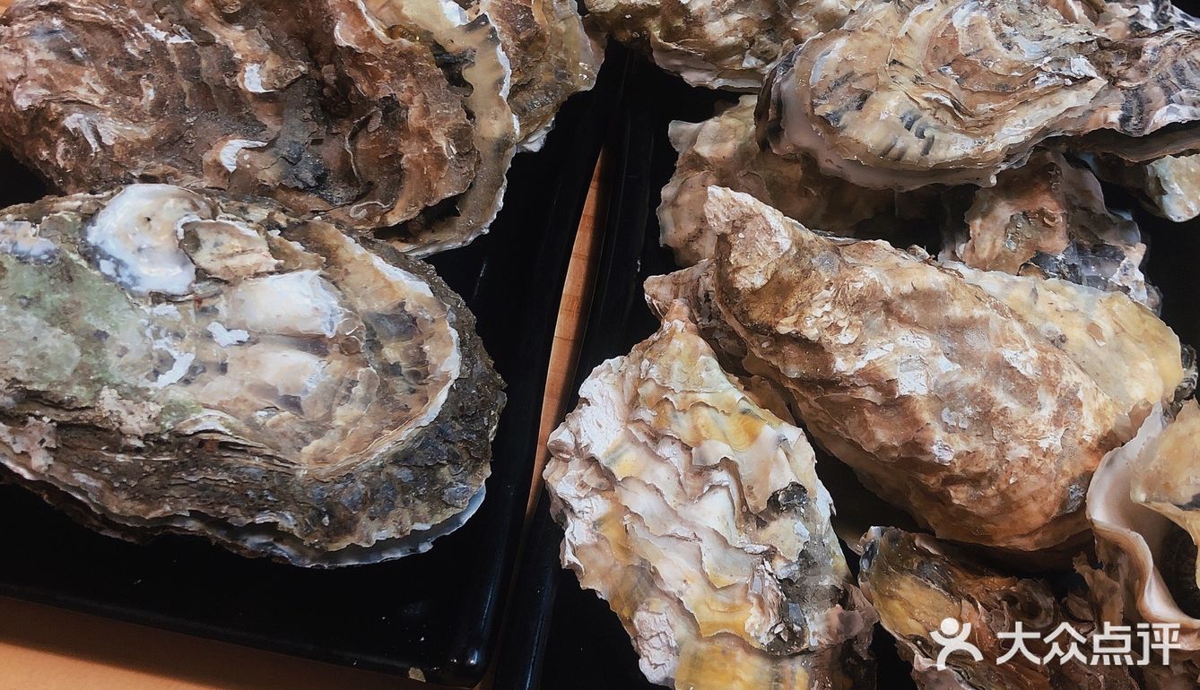 惠城区店开蚝屋