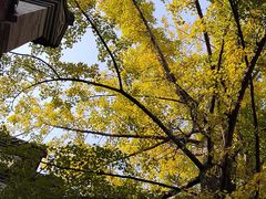 -龙潭水乡